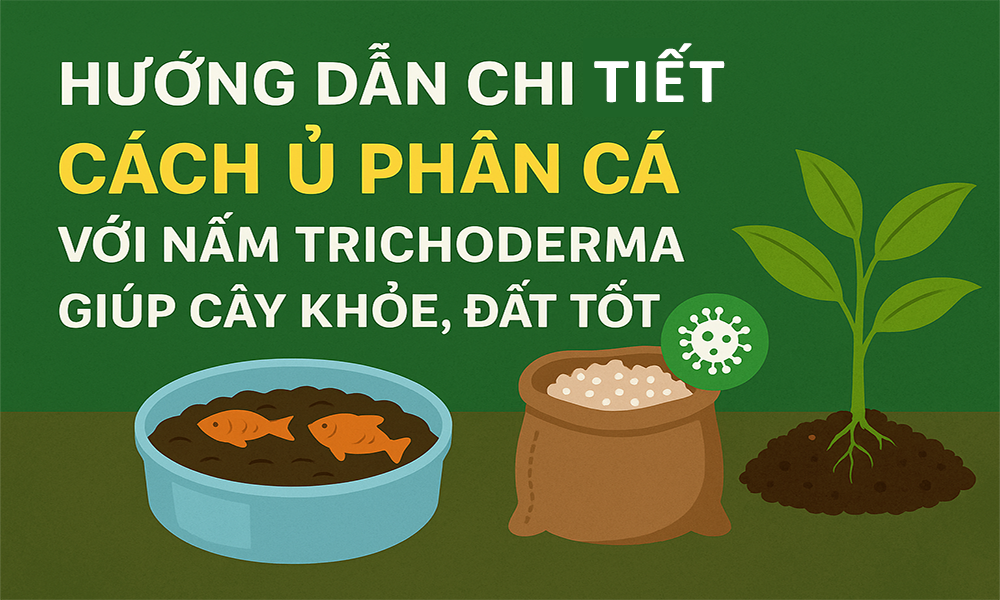 Hướng dẫn chi tiết từng bước may túi vải trồng cây với nguyên vật liệu sẵn sàng